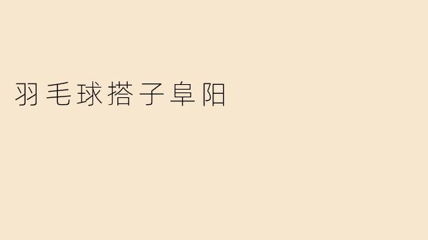 羽毛球搭子阜阳