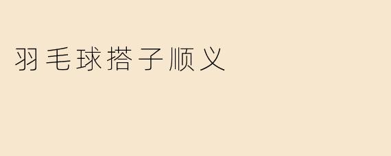 羽毛球搭子顺义