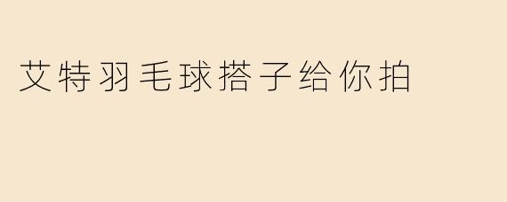 艾特羽毛球搭子给你拍