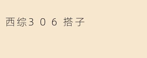 西综306搭子