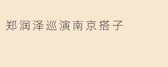 郑润泽巡演南京搭子