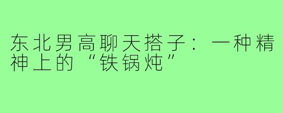 东北男高聊天搭子:一种精神上的“铁锅炖”