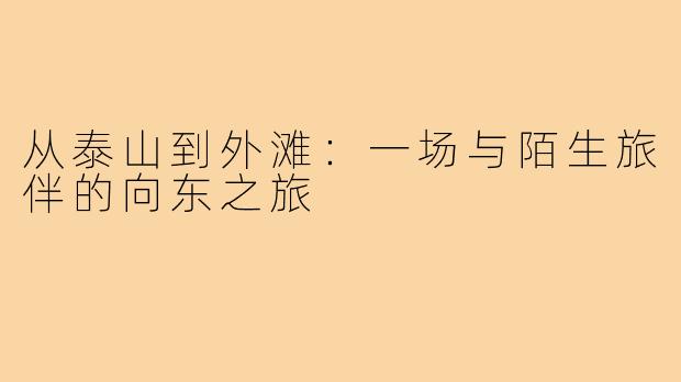 从泰山到外滩：一场与陌生旅伴的向东之旅