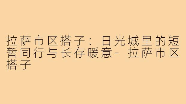 拉萨市区搭子:日光城里的短暂同行与长存暖意-拉萨市区搭子