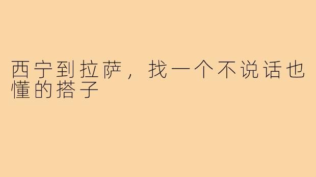 西宁到拉萨，找一个不说话也懂的搭子