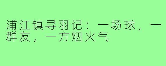 浦江镇寻羽记:一场球,一群友,一方烟火气