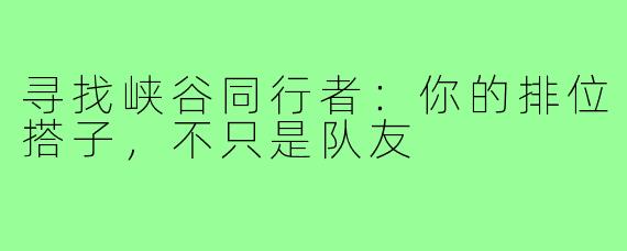 寻找峡谷同行者:你的排位搭子,不只是队友