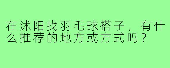 在沭阳找羽毛球搭子，有什么推荐的地方或方式吗？