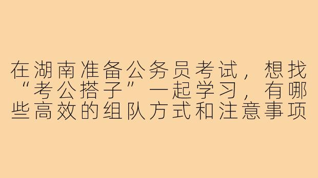 在湖南准备公务员考试，想找“考公搭子”一起学习，有哪些高效的组队方式和注意事项？-湖南公考搭子
