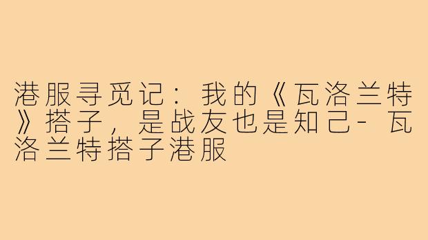 港服寻觅记：我的《瓦洛兰特》搭子，是战友也是知己-瓦洛兰特搭子港服