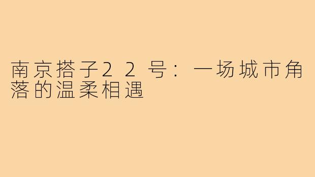 南京搭子22号:一场城市角落的温柔相遇