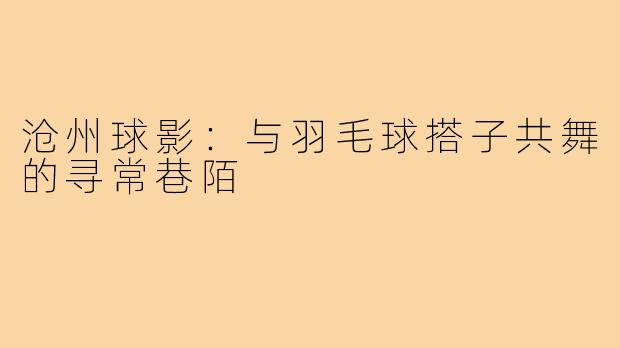 沧州球影：与羽毛球搭子共舞的寻常巷陌