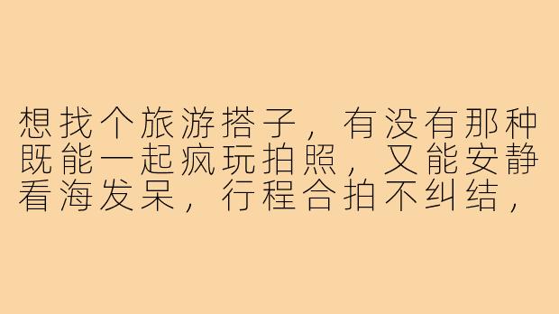想找个旅游搭子，有没有那种既能一起疯玩拍照，又能安静看海发呆，行程合拍不纠结，费用AA不尴尬的？求捞！-想找个旅游搭子文案