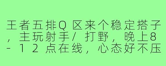 王者五排Q区来个稳定搭子,主玩射手/打野,晚上8-12点在线,心态好不压力,有麦能交流,有没有差不多的车队缺人?