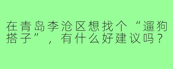 在青岛李沧区想找个“遛狗搭子”，有什么好建议吗？