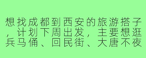 想找成都到西安的旅游搭子,计划下周出发,主要想逛兵马俑、回民街、大唐不夜城这些经典景点,有没有时间合适、行程相似的朋友一起?预算中等,希望搭子性格随和,男女不限,路上能互相拍照、分享美食,有意的朋友私聊具体细节哈!