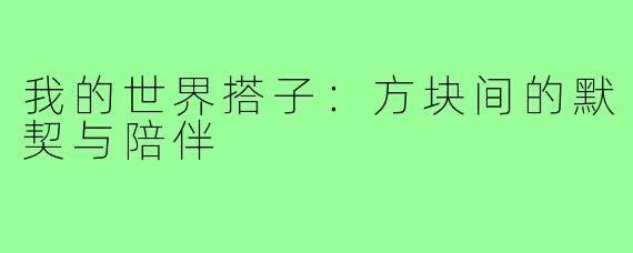 我的世界搭子：方块间的默契与陪伴