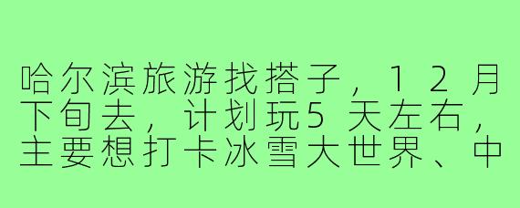 哈尔滨旅游找搭子，12月下旬去，计划玩5天左右，主要想打卡冰雪大世界、中央大街、索菲亚教堂，还想尝试冬泳体验！有一起的姐妹吗？时间合适的话我们可以一起规划行程，互相拍照，吃铁锅炖！