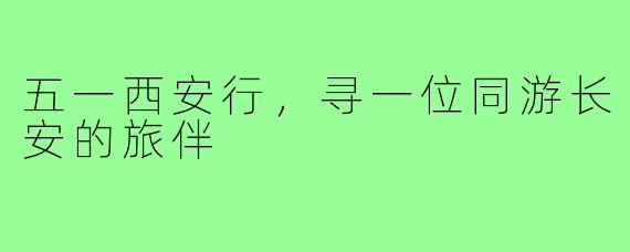 五一西安行,寻一位同游长安的旅伴