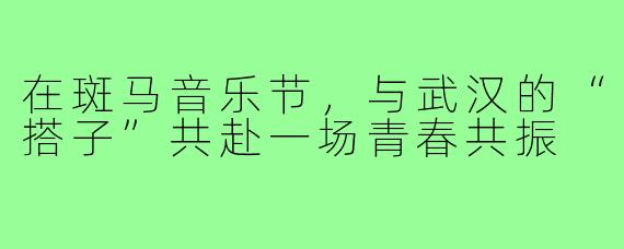 在斑马音乐节，与武汉的“搭子”共赴一场青春共振