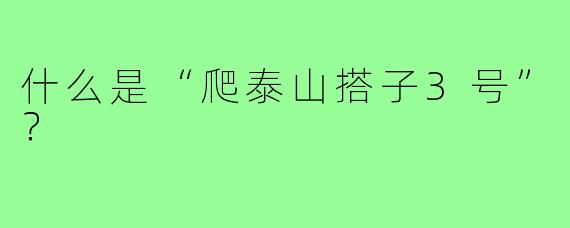 什么是“爬泰山搭子3号”？