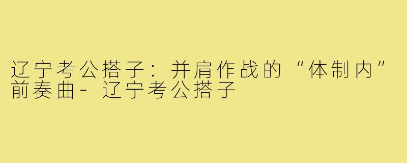 辽宁考公搭子：并肩作战的“体制内”前奏曲-辽宁考公搭子