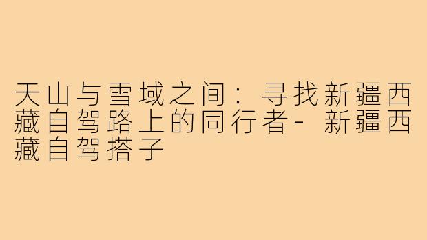 天山与雪域之间：寻找新疆西藏自驾路上的同行者-新疆西藏自驾搭子