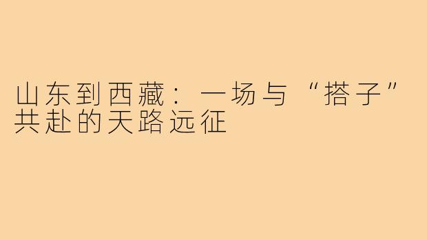 山东到西藏:一场与“搭子”共赴的天路远征