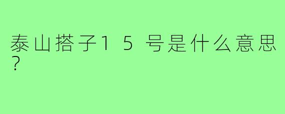 泰山搭子15号是什么意思?