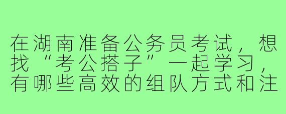 在湖南准备公务员考试，想找“考公搭子”一起学习，有哪些高效的组队方式和注意事项？