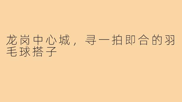 龙岗中心城,寻一拍即合的羽毛球搭子