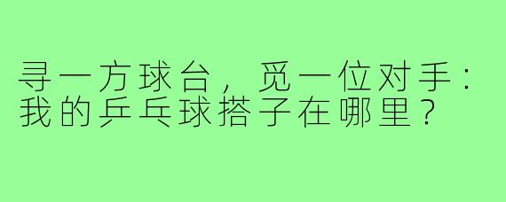 寻一方球台,觅一位对手:我的乒乓球搭子在哪里?