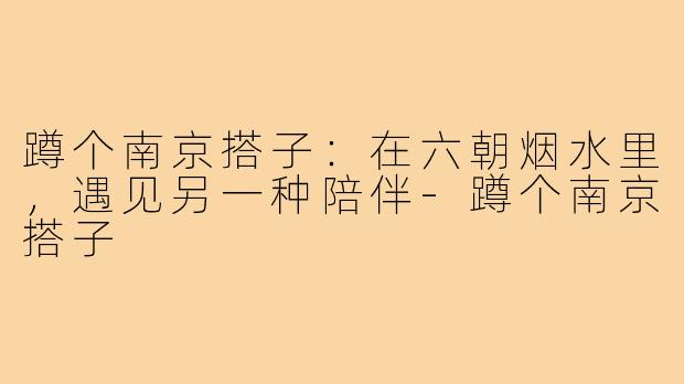 蹲个南京搭子：在六朝烟水里，遇见另一种陪伴-蹲个南京搭子