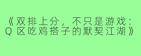 《双排上分,不只是游戏:Q区吃鸡搭子的默契江湖》