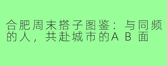 合肥周末搭子图鉴:与同频的人,共赴城市的AB面