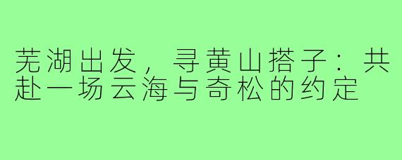 芜湖出发，寻黄山搭子：共赴一场云海与奇松的约定
