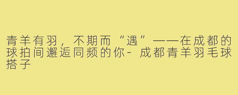 青羊有羽,不期而“遇”——在成都的球拍间邂逅同频的你-成都青羊羽毛球搭子