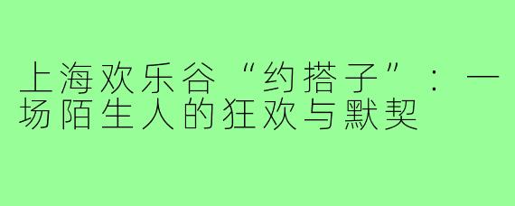 上海欢乐谷“约搭子”:一场陌生人的狂欢与默契