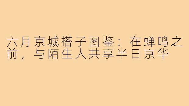 六月京城搭子图鉴：在蝉鸣之前，与陌生人共享半日京华