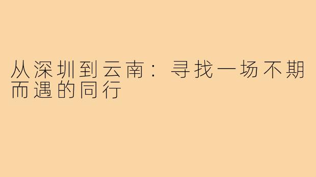 从深圳到云南:寻找一场不期而遇的同行