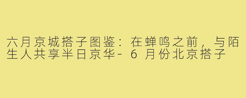 六月京城搭子图鉴：在蝉鸣之前，与陌生人共享半日京华-6月份北京搭子