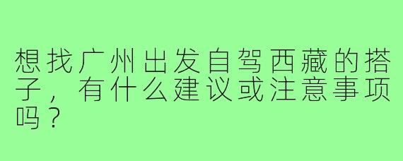 想找广州出发自驾西藏的搭子,有什么建议或注意事项吗?