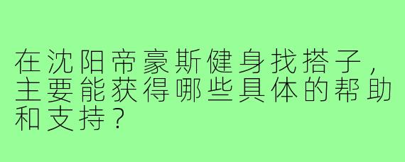 在沈阳帝豪斯健身找搭子，主要能获得哪些具体的帮助和支持？