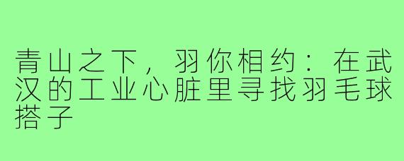 青山之下，羽你相约：在武汉的工业心脏里寻找羽毛球搭子
