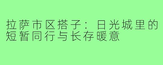 拉萨市区搭子:日光城里的短暂同行与长存暖意