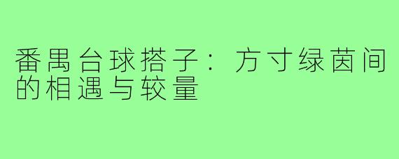 番禺台球搭子:方寸绿茵间的相遇与较量