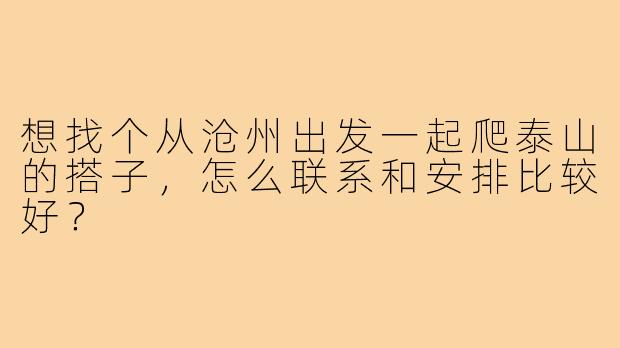 想找个从沧州出发一起爬泰山的搭子，怎么联系和安排比较好？