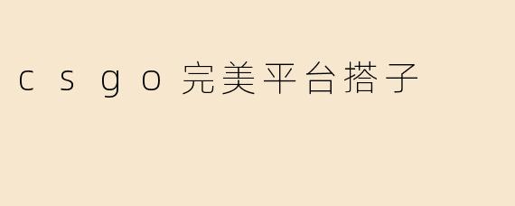 csgo完美平台搭子