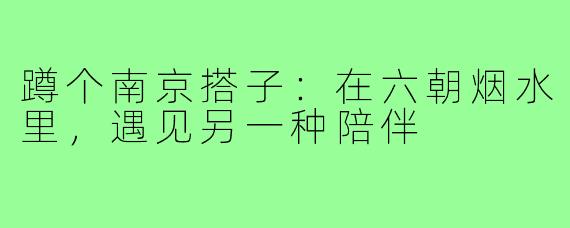 蹲个南京搭子：在六朝烟水里，遇见另一种陪伴