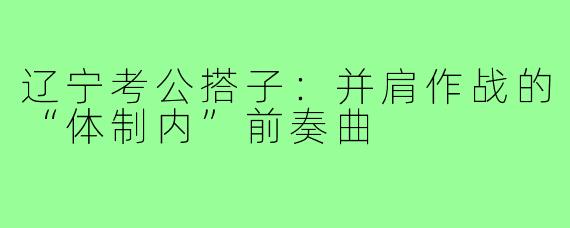 辽宁考公搭子：并肩作战的“体制内”前奏曲